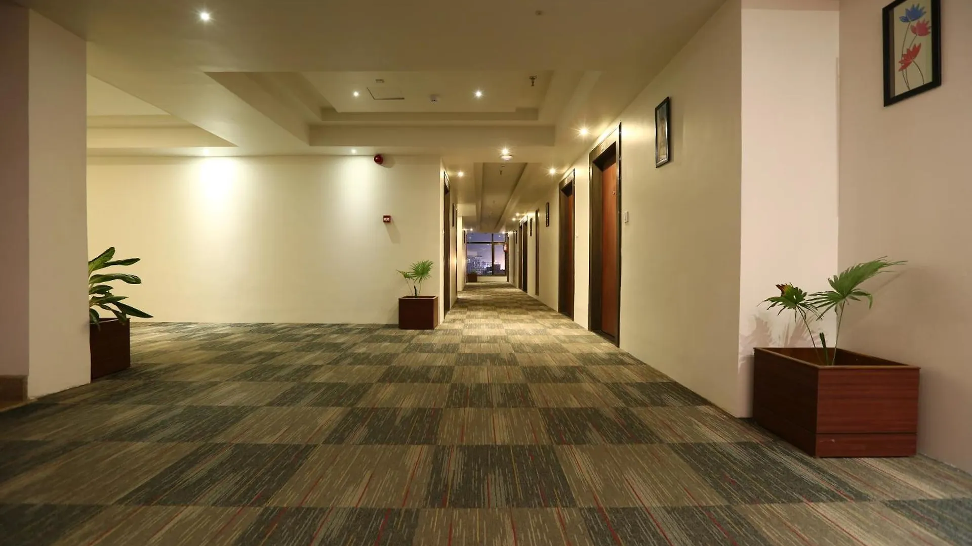Hotel Silky Igi Airport Delhi New Delhi